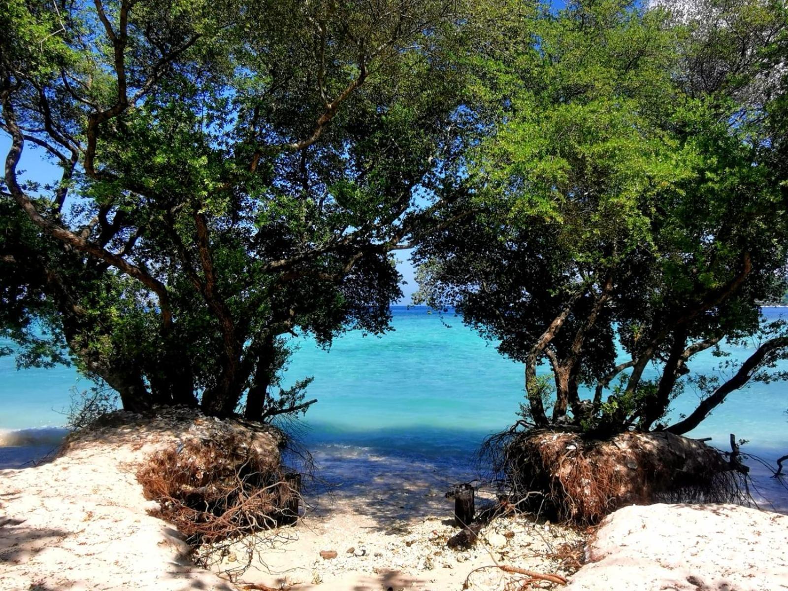 Exotic House Villa Gili Meno Buitenkant foto