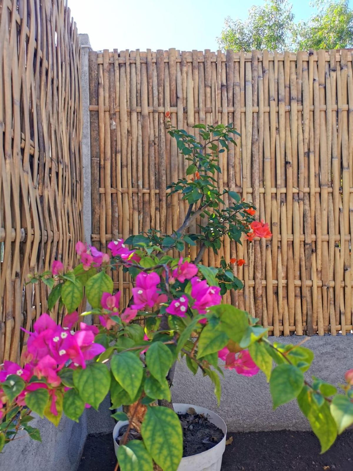 Exotic House Villa Gili Meno Buitenkant foto