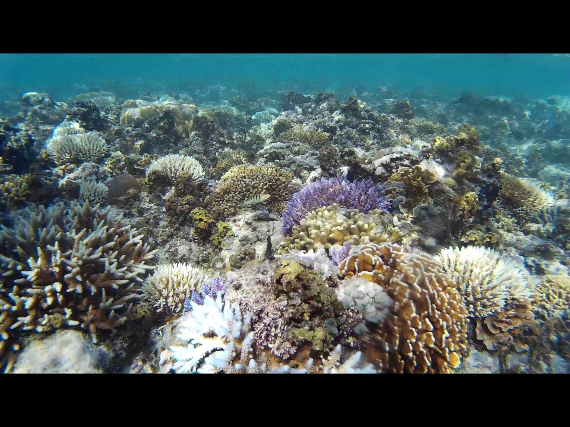 Exotic House Villa Gili Meno Buitenkant foto
