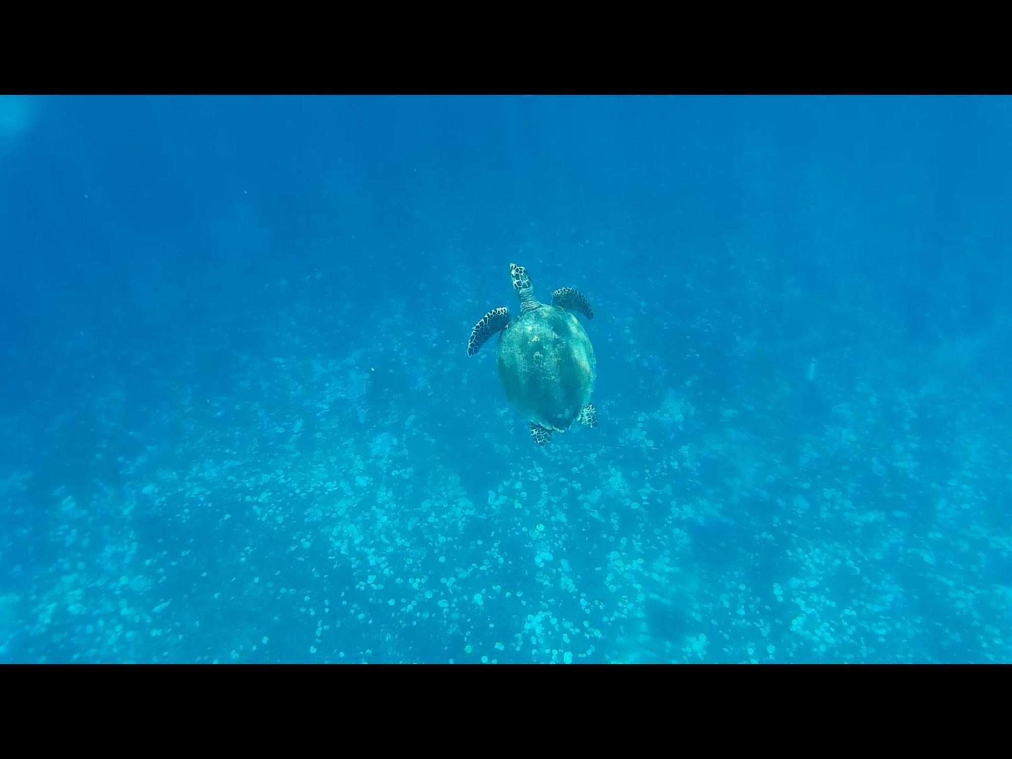 Exotic House Villa Gili Meno Buitenkant foto